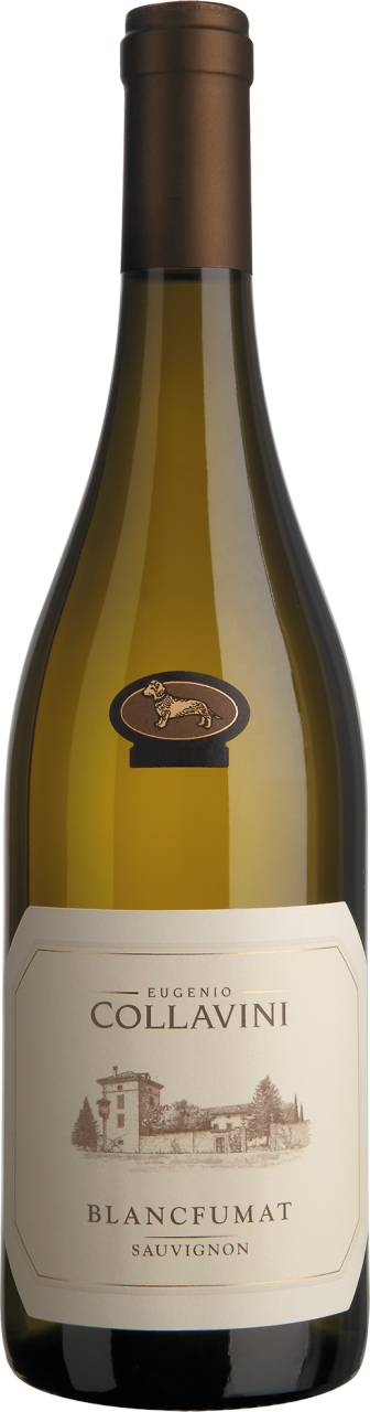 Collavini Sauvignon Blancfumat Collio DOC