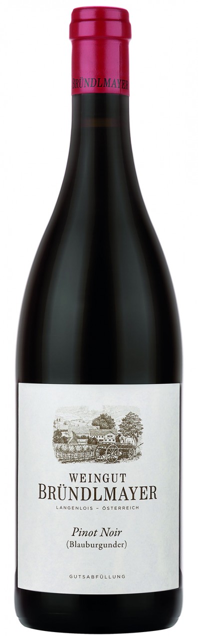 Weingut Bründlmayer Pinot Noir