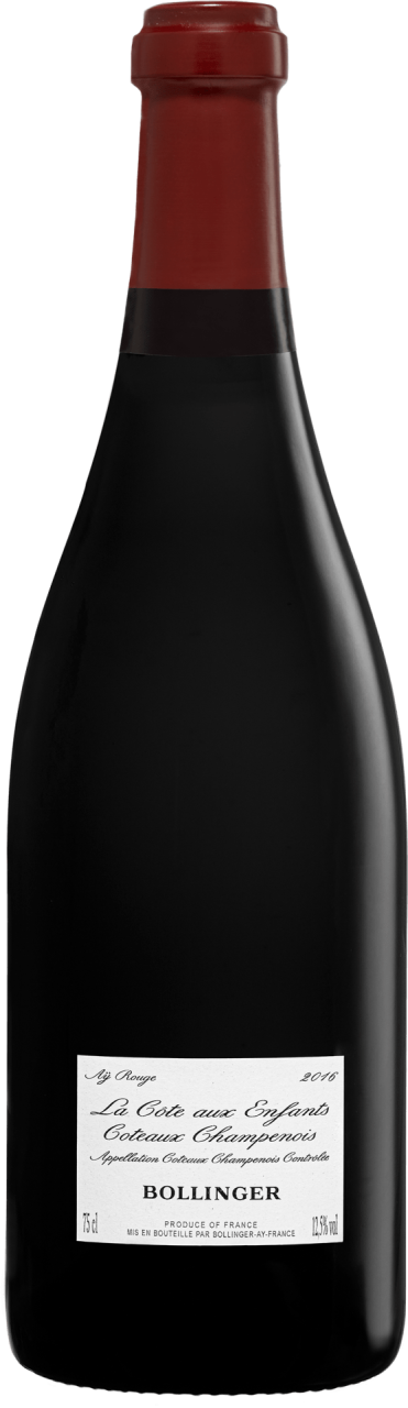 Champagne Bollinger La Cote Aux Enfants Coteaux Champenois