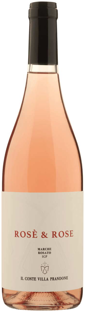 Il Conte Rosè & Rose