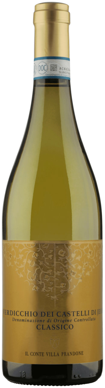 Il Conte Villa Prandone Verdicchio dei Castelli di Jesi Classico