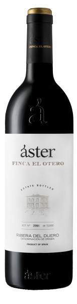 Áster Finca El Otero