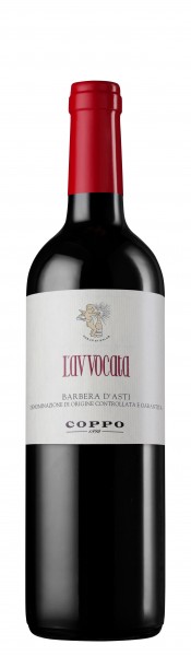 Coppo Barbera D'Asti L'Avvocata
