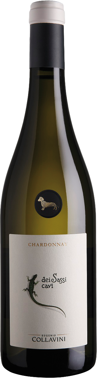 Collavini Dei Sassi Cavi Chardonnay IGT