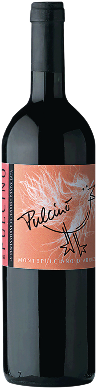 Il Pulcino Montepulciano d'Abruzzo Pulcino