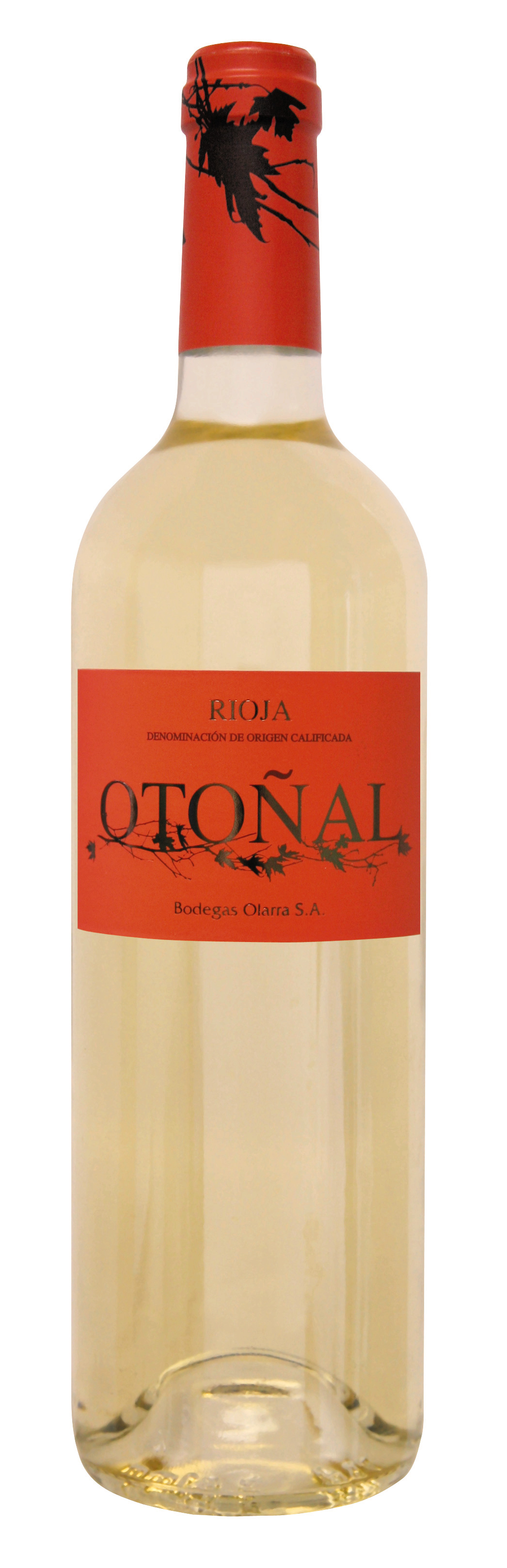 Bodegas Olarra Otonal Blanco Rioja DO | Weißwein | Alle Weine | Weine ...