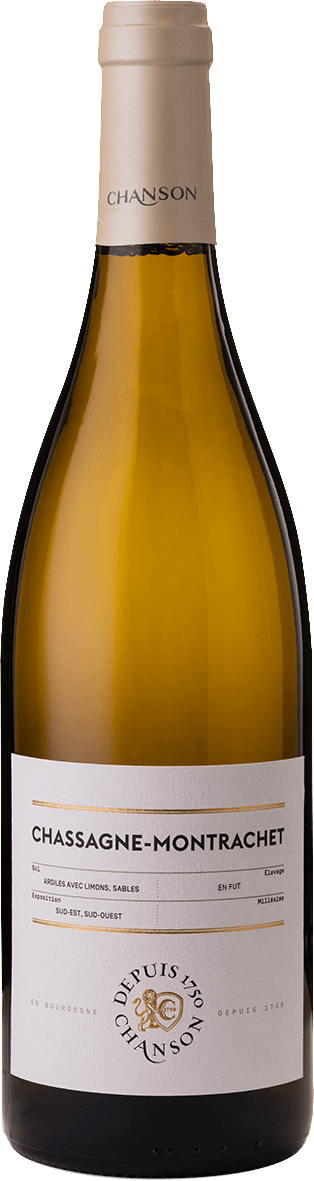 Domaine Chanson Chassagne-Montrachet