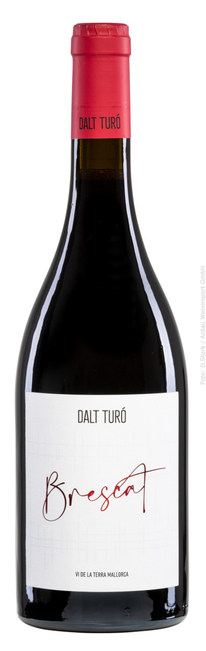 Dalt Turó Brescat Negre