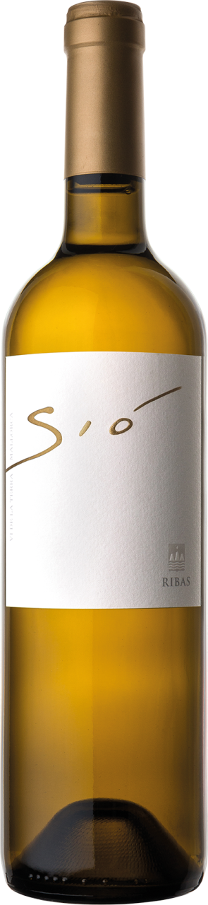 Bodegas Ribas Sio Blanc