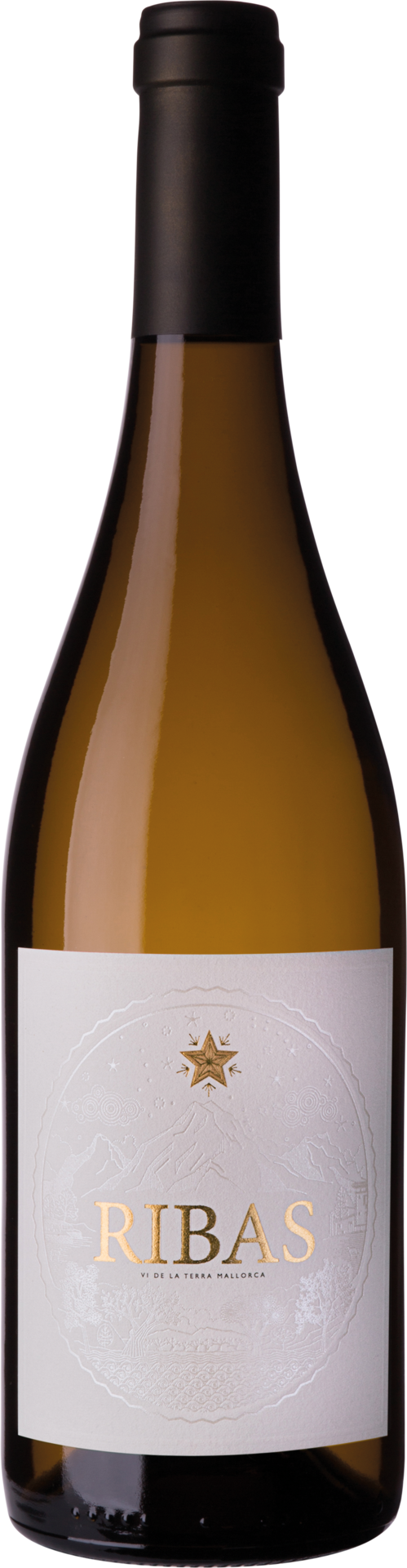Bodegas Ribas Ribas Blanc TerraVinum