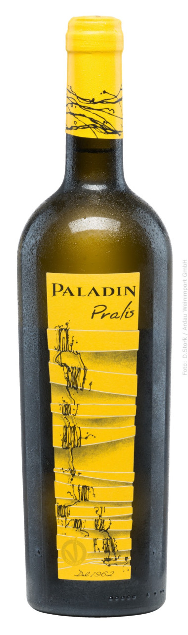 Paladin Pralis