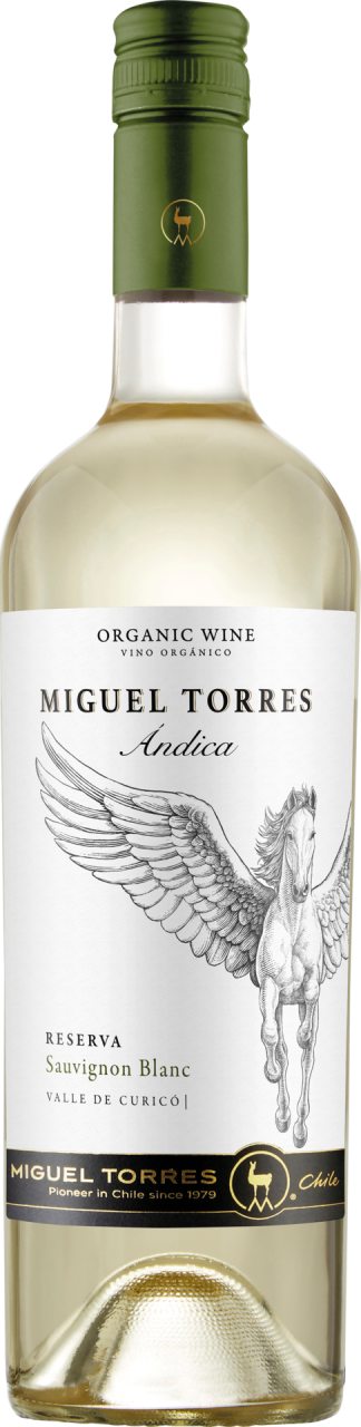 Andica Reserva Sauvignon Blanc