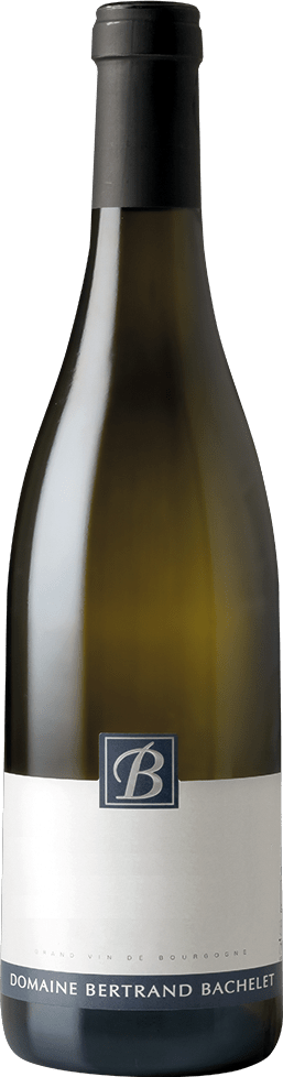 Domaine Bertrand Bachelet CM 1er Cru Morgeot