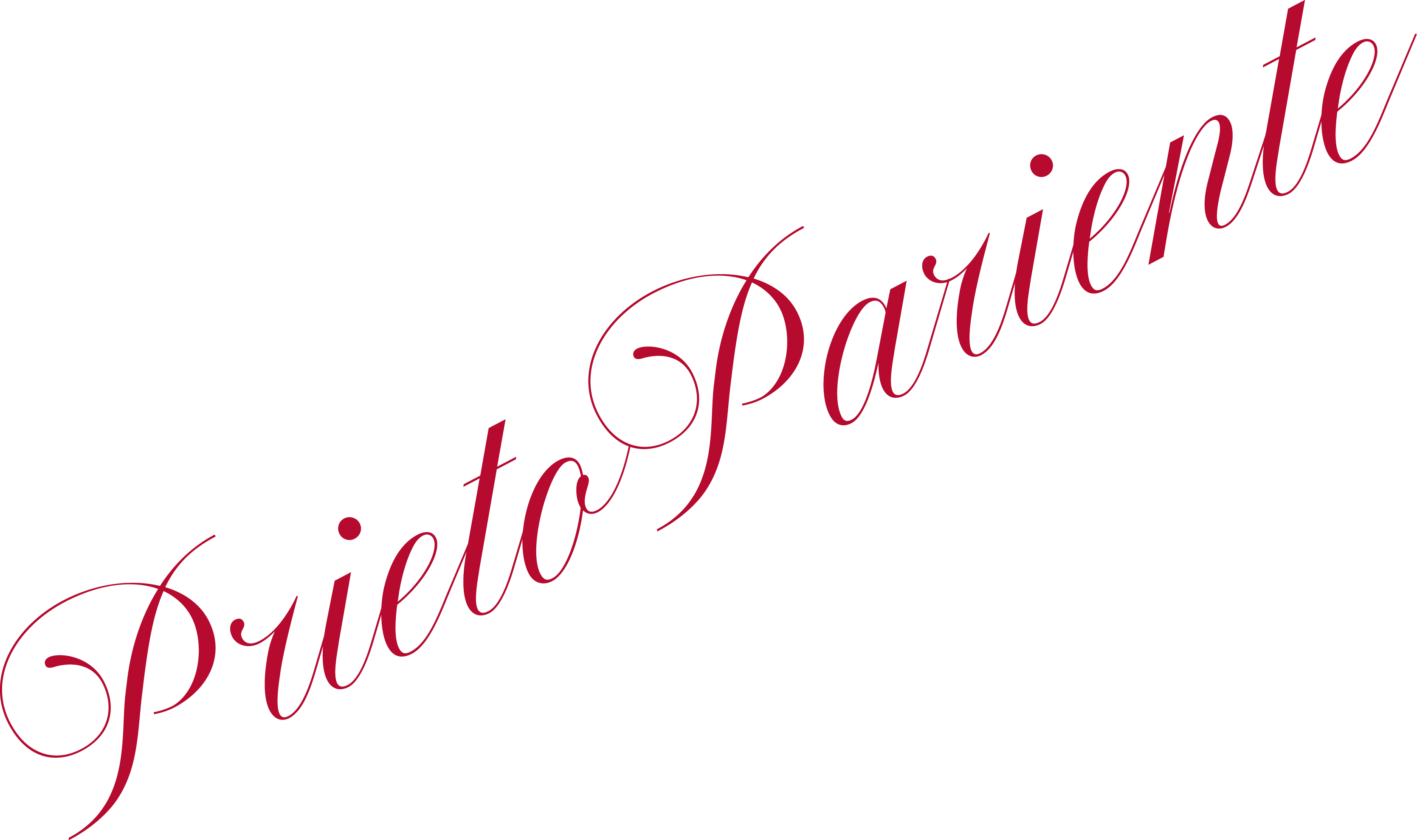 Bodegas Prieto Pariente