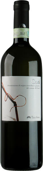 Luigi Tacchino Gavi