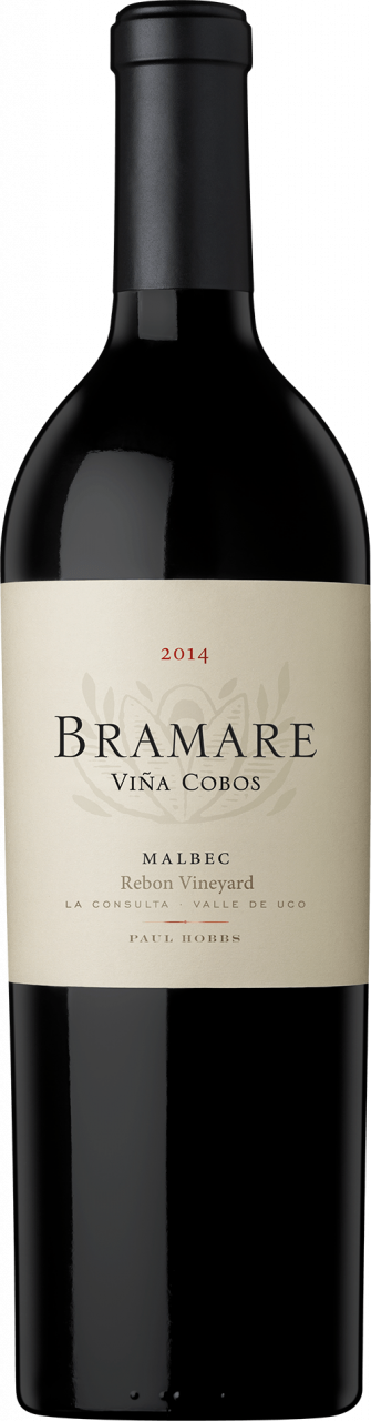 Viña Cobos Bramare Rebon Vineyard Malbec