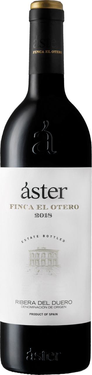 Áster Finca El Otero