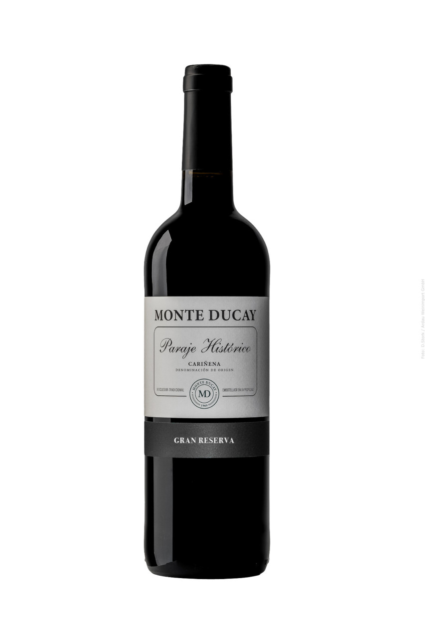 Bodegas San Valero Monte Ducay Gran Reserva