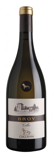 Collavini Broy DOC Collio