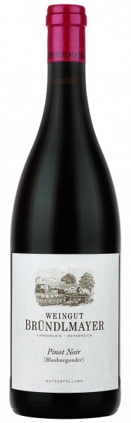 Weingut Bründlmayer Pinot Noir