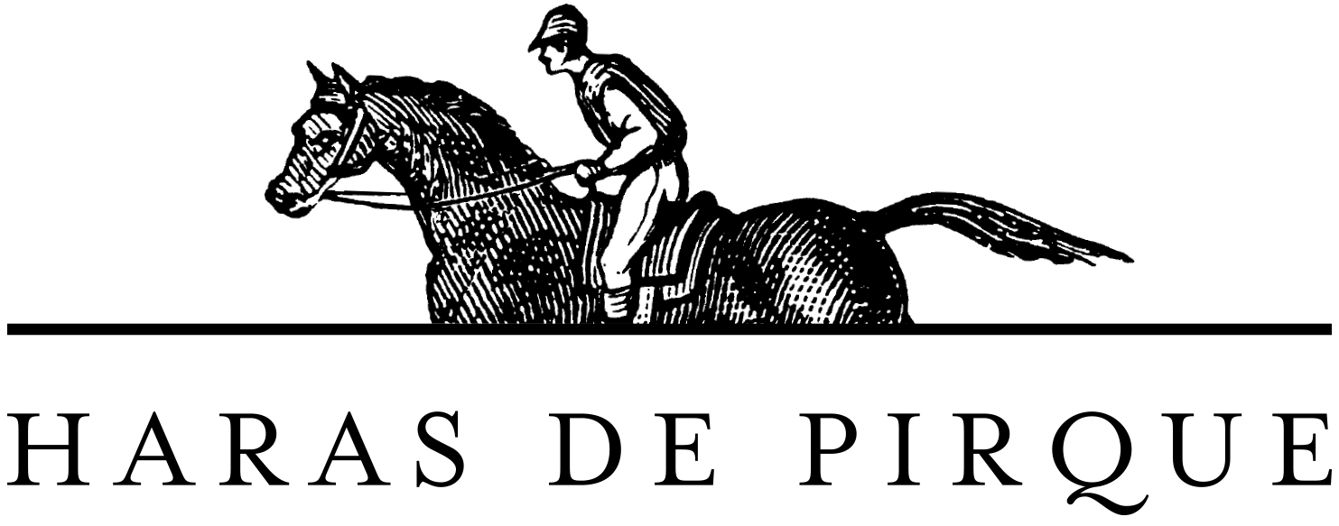 Haras de Pirque